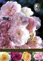 Catalogue Roseraie Fabien DUCHER