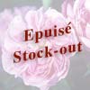 rose Baronne Pr�vost
